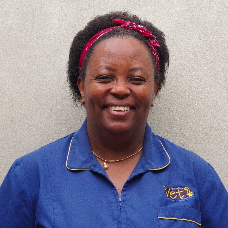 Agnes – Veterinary Nurse