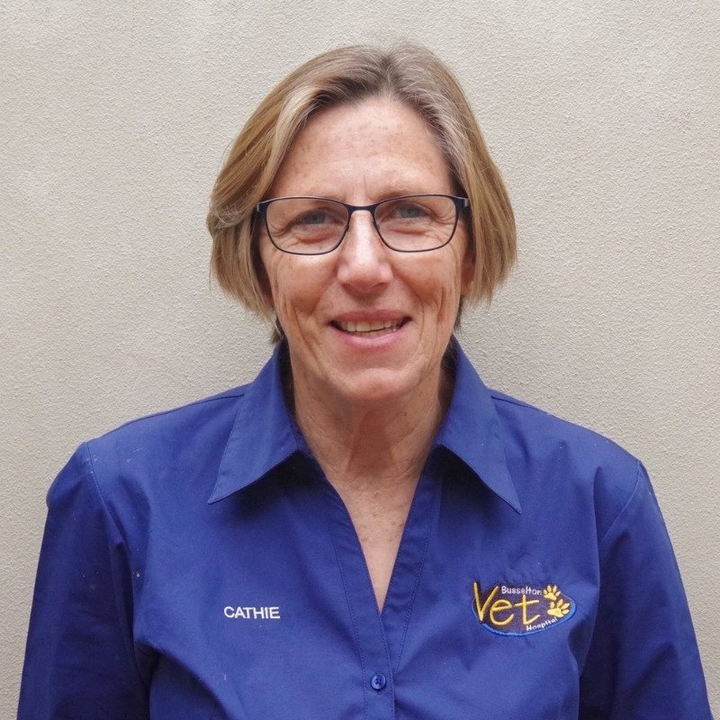 Cathie – Receptionist