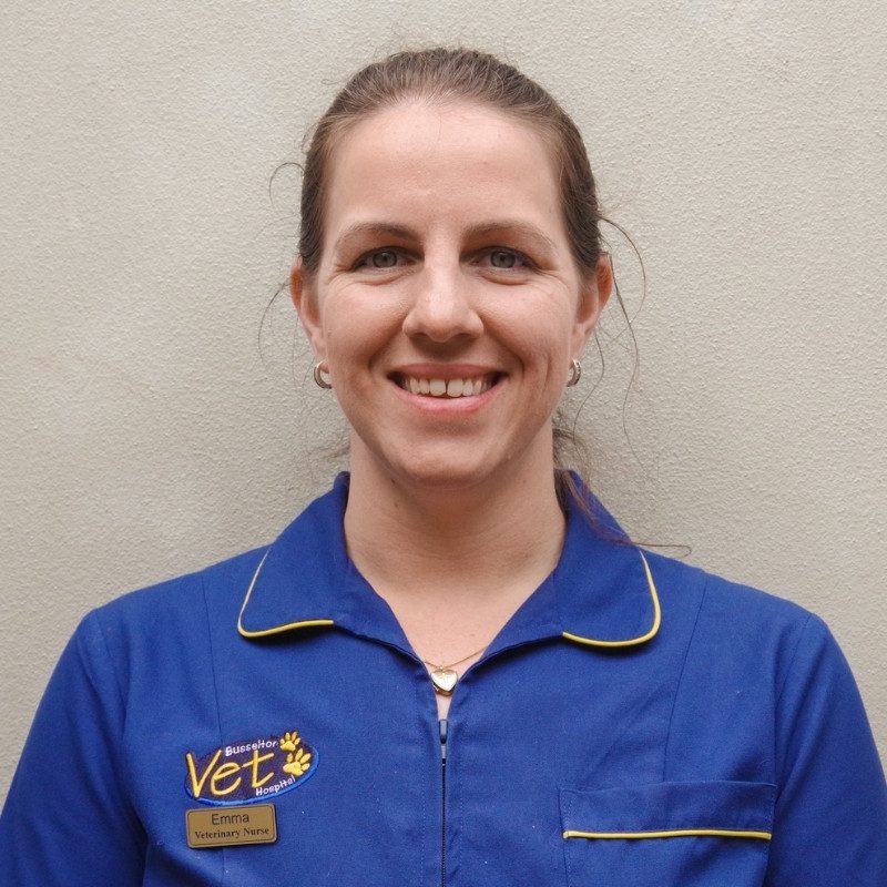 Emma – Veterinary Nurse