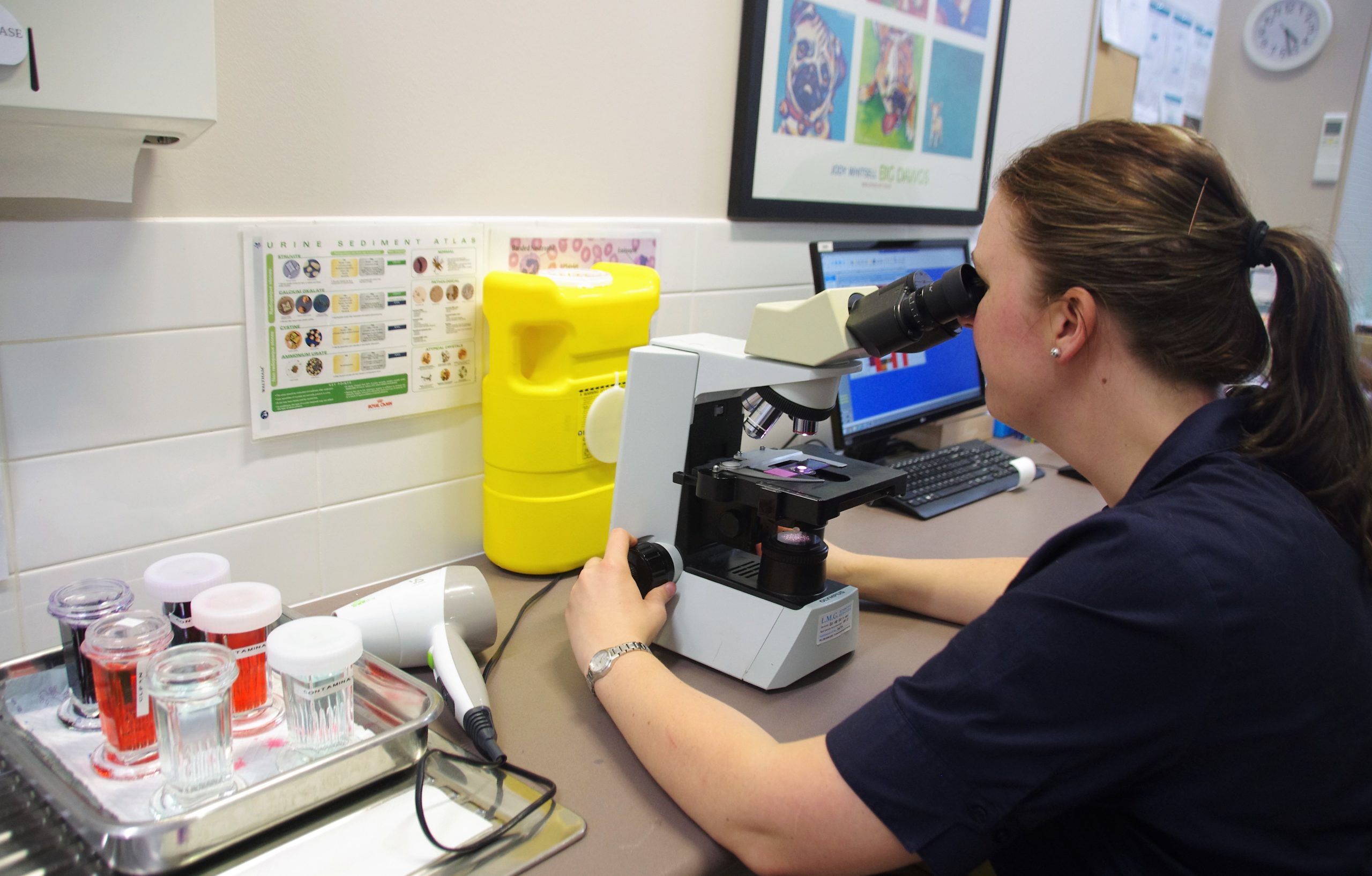 Dr Kerri looking sample under microscope