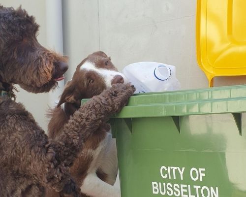 General Clinic_Business Hard Waste